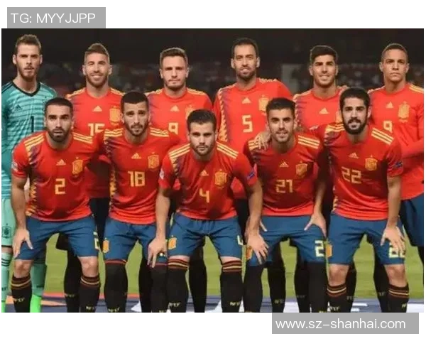 武汉足球队实力强劲荣登足球力量排行榜第9名